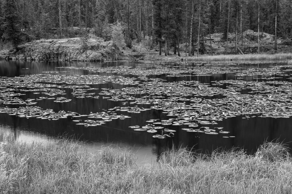 Guest Column: It’s time to stop shipping water across the Rockies