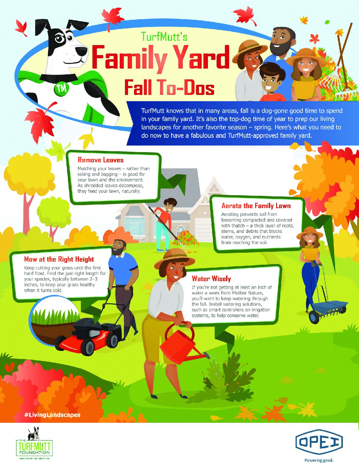 Family Yard Fall To-Dos