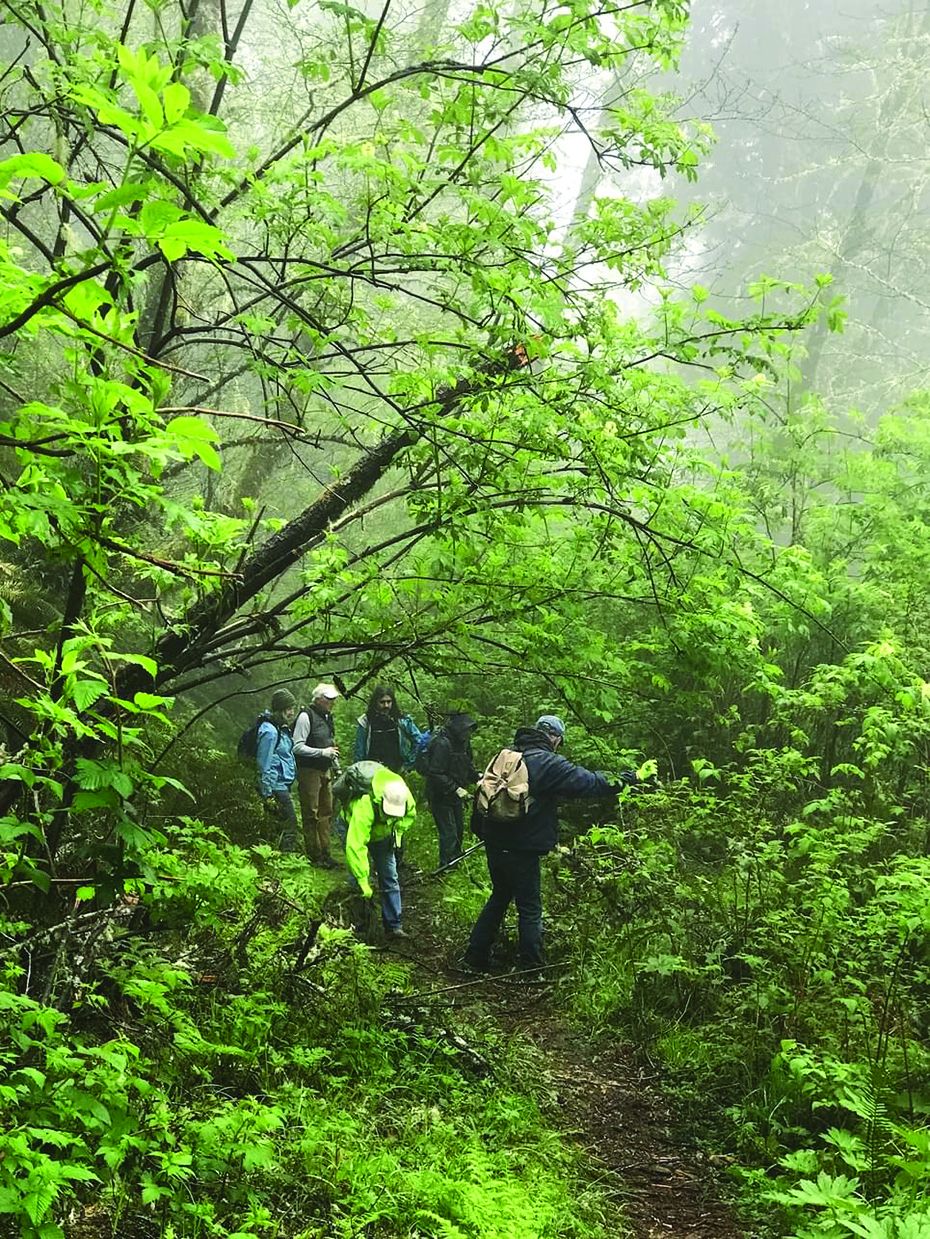 Volunteers help clean Damnation Creek