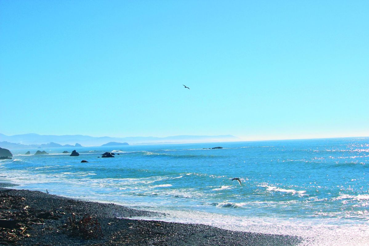 Spring prompts coast like a local campaign to protect wildlife