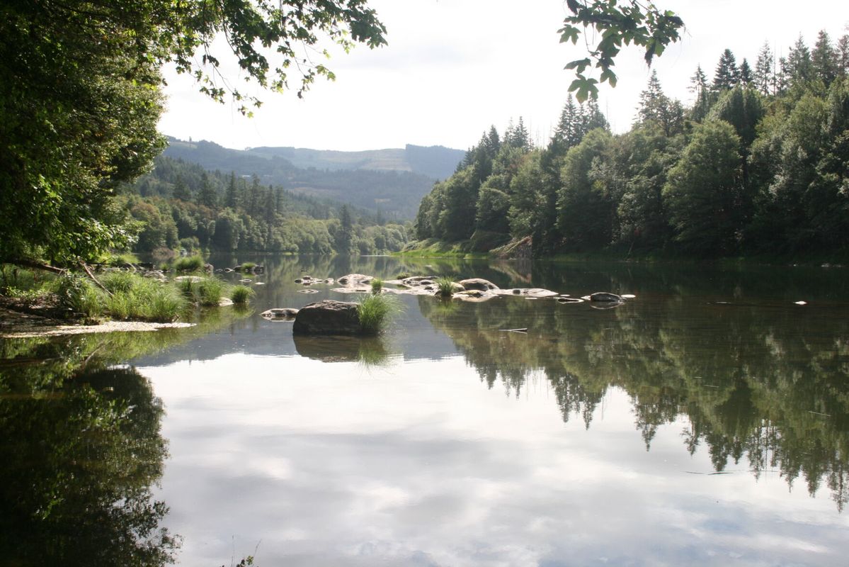 Researchers demonstrate new method to track genetic diversity of salmon, trout