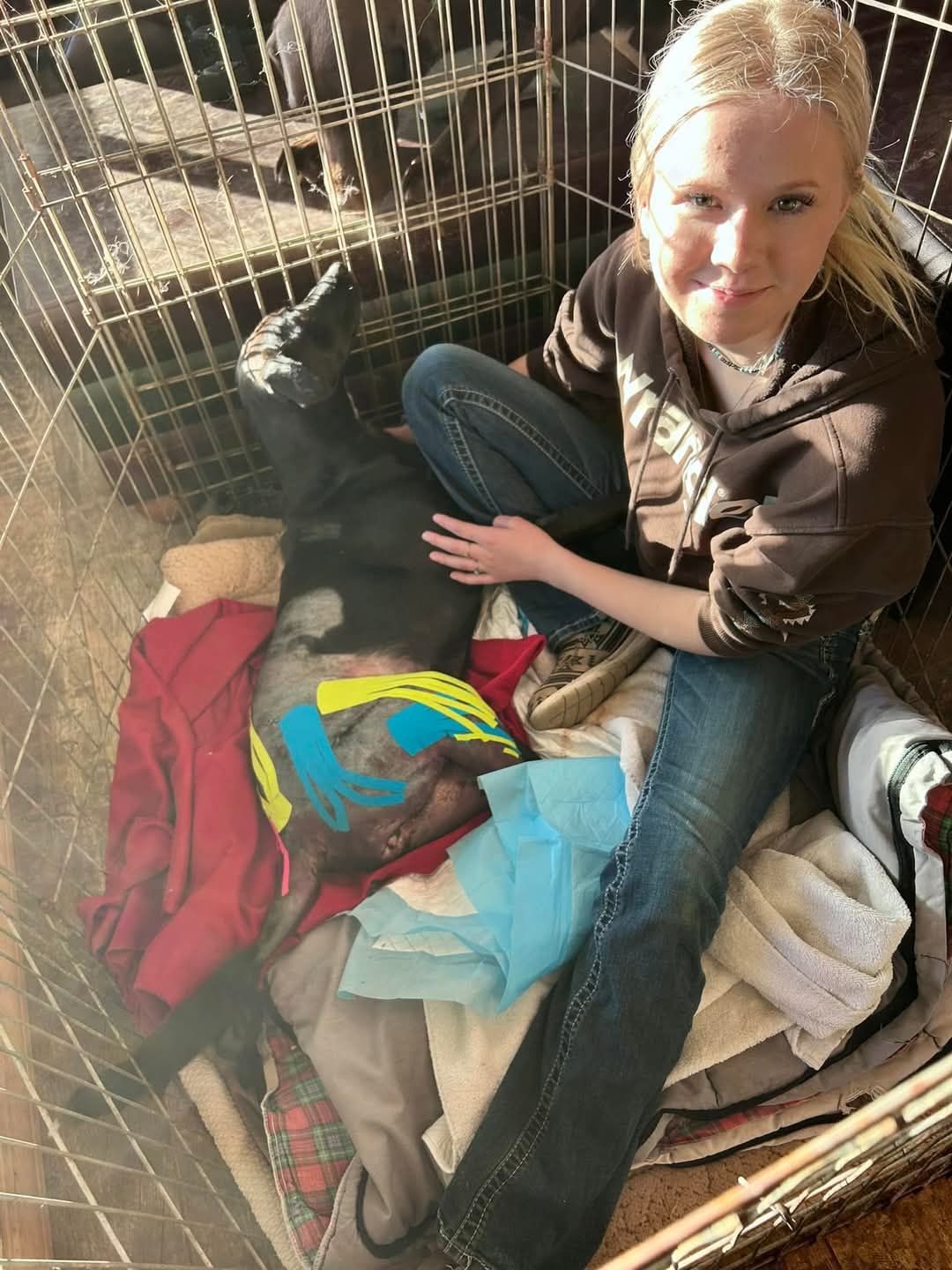 K9 Juno survives surgery, expect full recovery