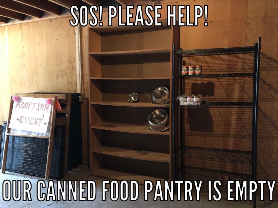 Dogs’ food pantry needs help