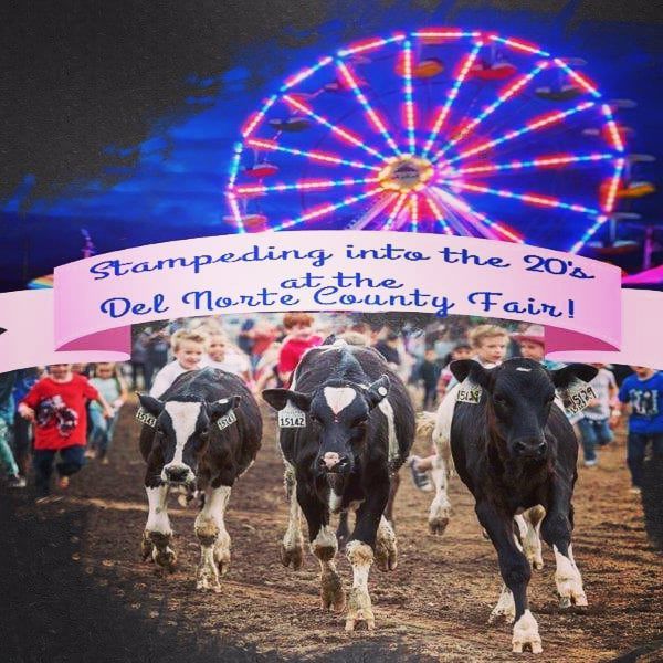 Del Norte County Fair selects theme winner
