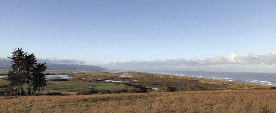 Ocean Ranch Unit opens to waterfowl hunting