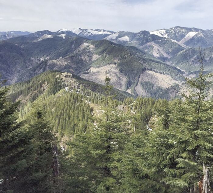 Trump officials plan to remove protections on 2 million acres of national forests in Oregon