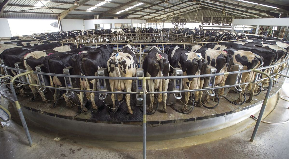 IRS: Drought-stricken farmers, ranchers have more time to replace livestock