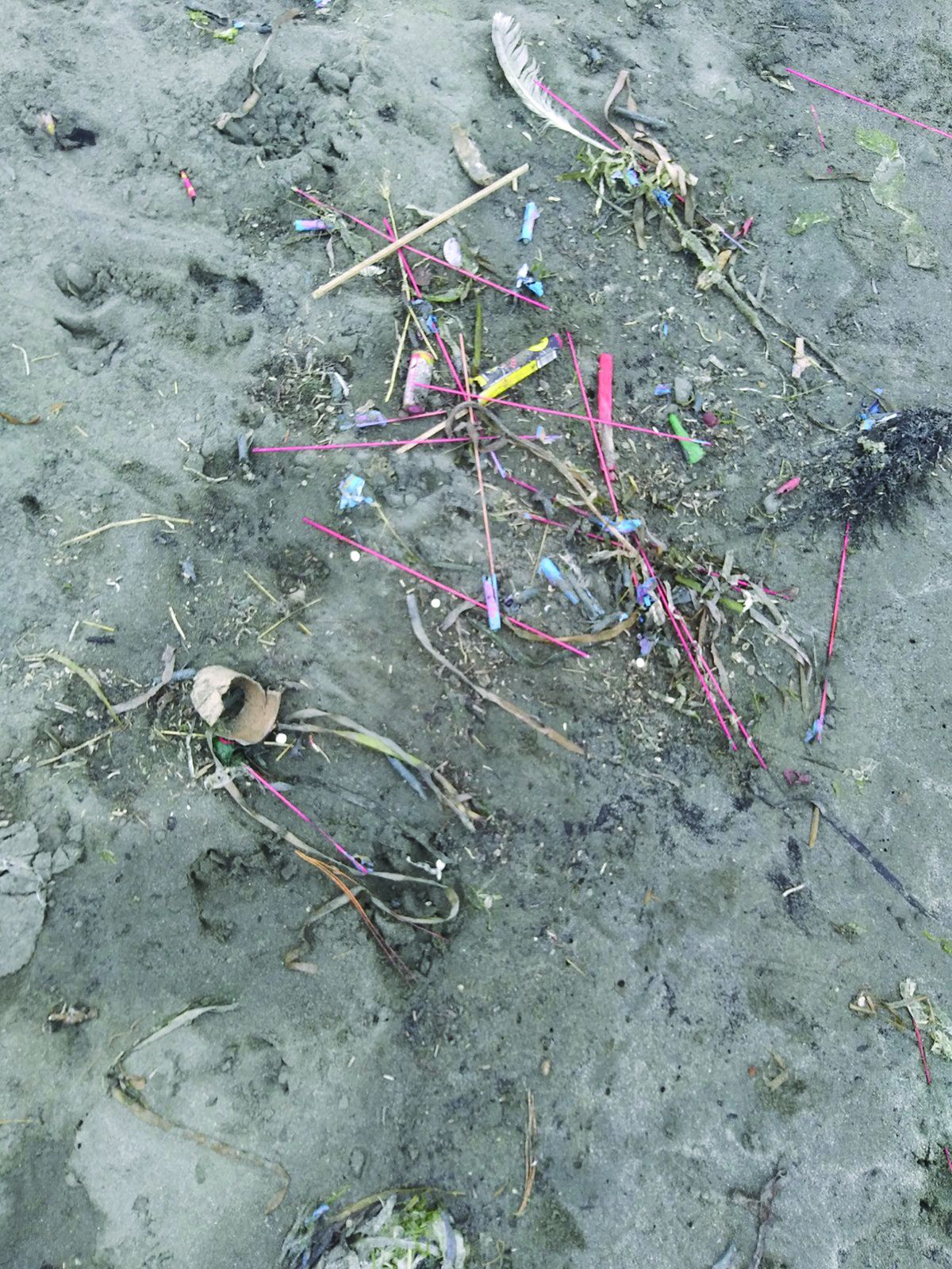 Fireworks leave devastation on the beach