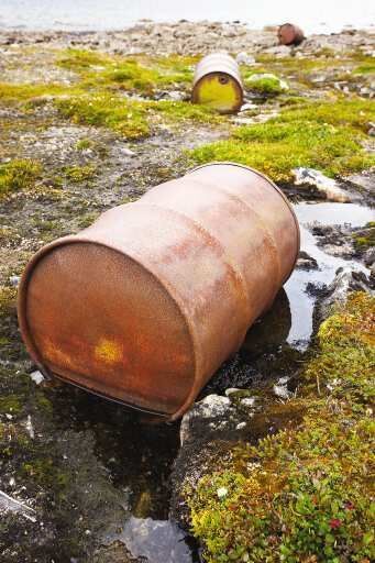 Study: Buffer zones, better regulation needed to prevent agricultural pollution in rivers, streams