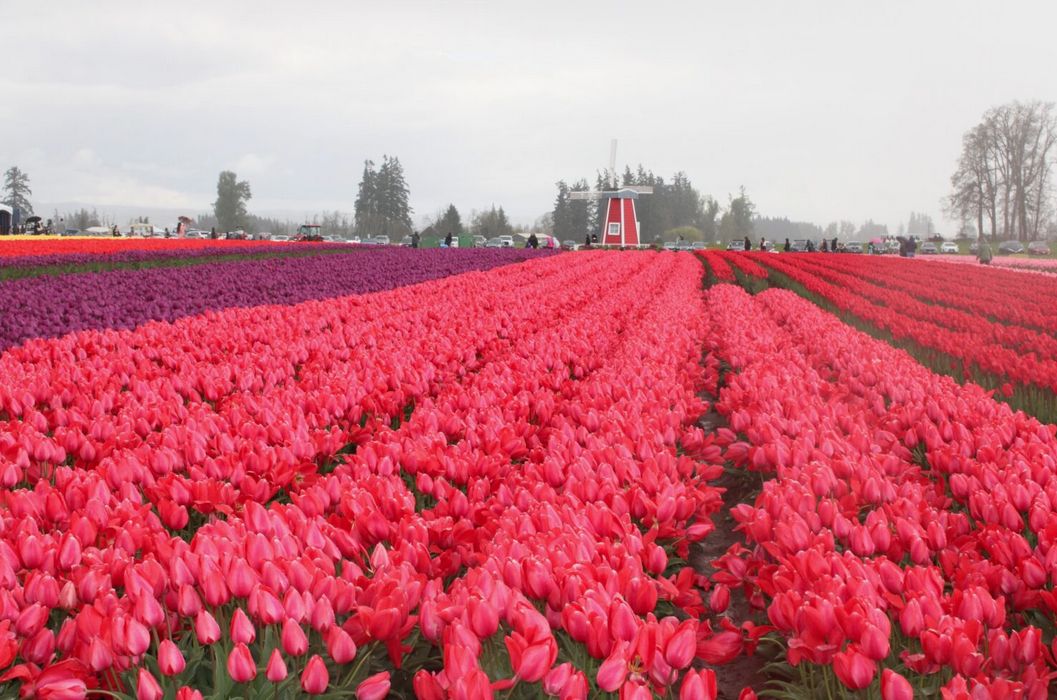 Oregon ditches farm stand regulations after public outcry