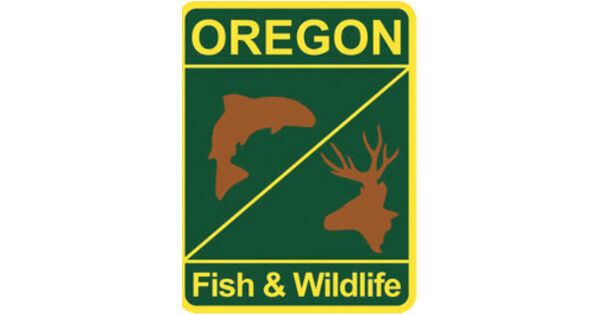 Whale Entanglements: ODFW issues fleet advisory