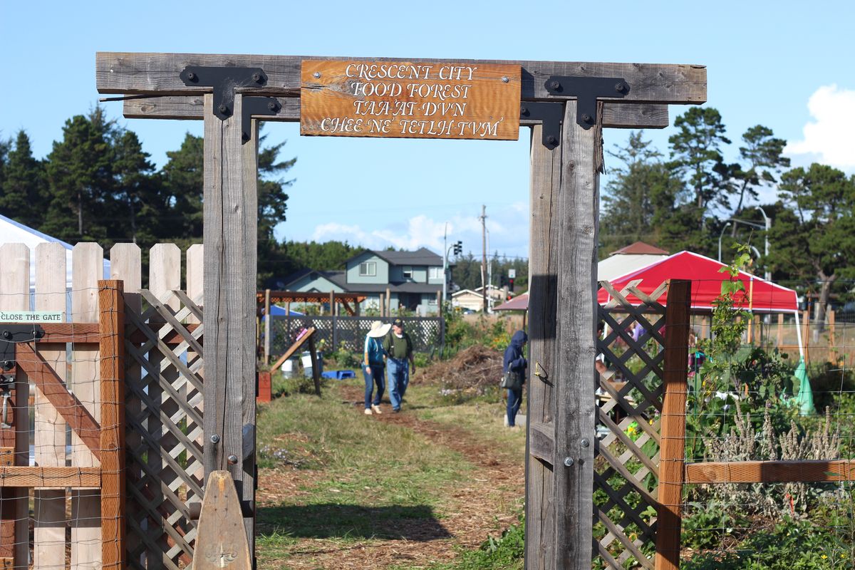 Food Forest opens with the ‘Harvest Festival’