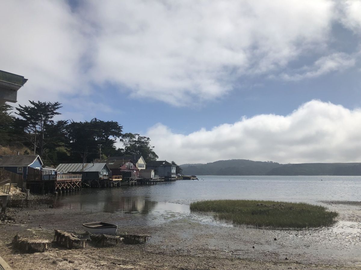 OSU researcher leads NOAA-funded project to study West Coast response to ocean acidification