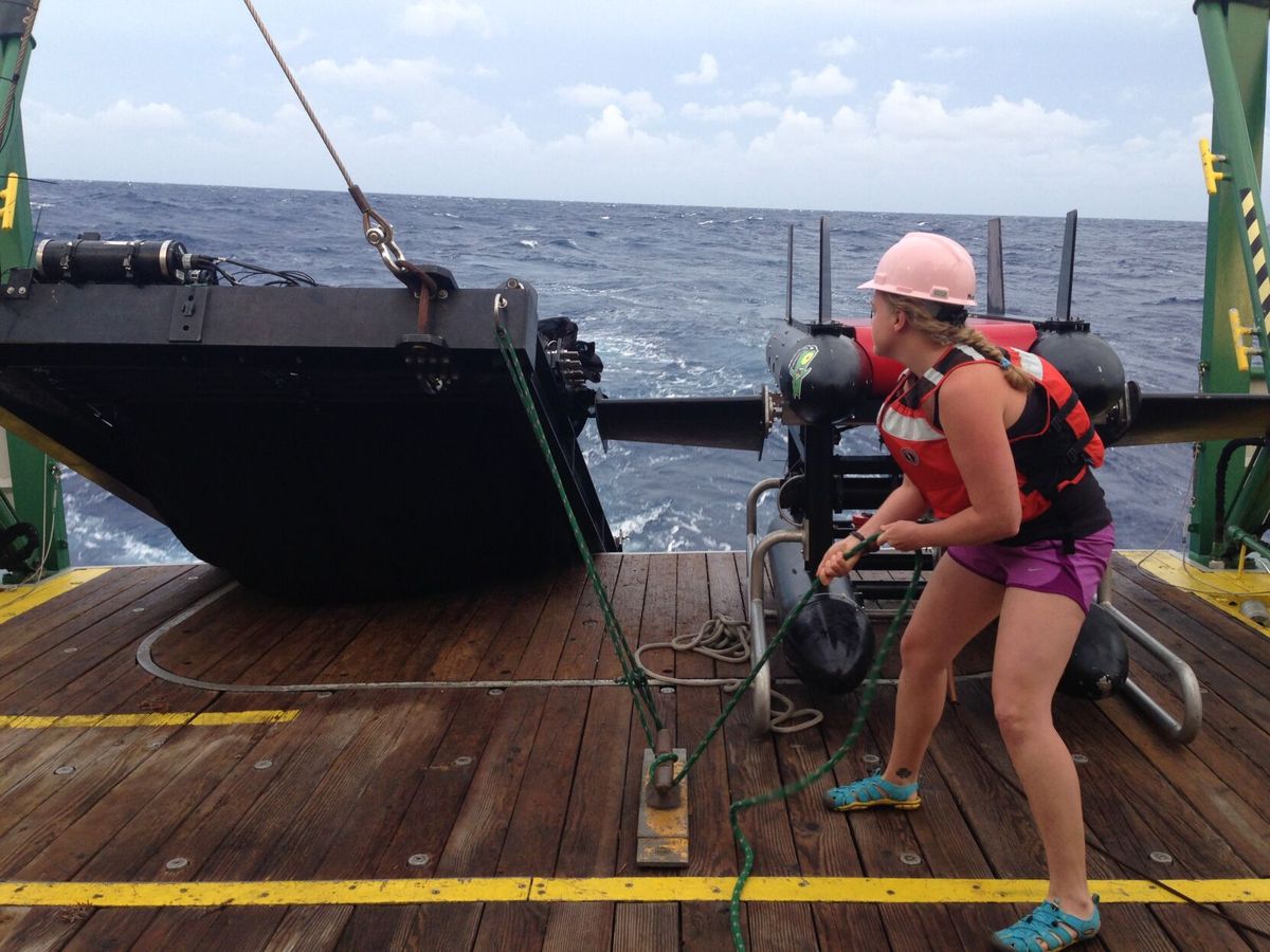 Shifts in water temperatures affect eating habits of larval tuna at critical life stage, study finds