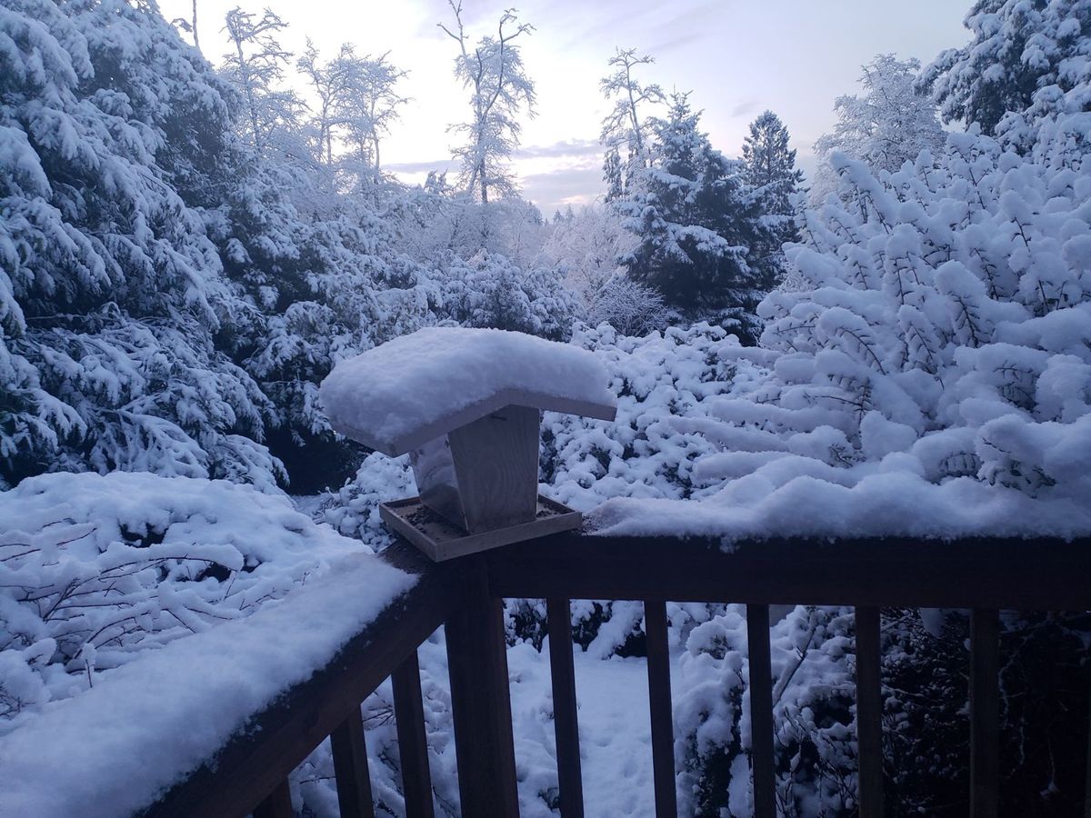 Colder than average winter in store for Northwest