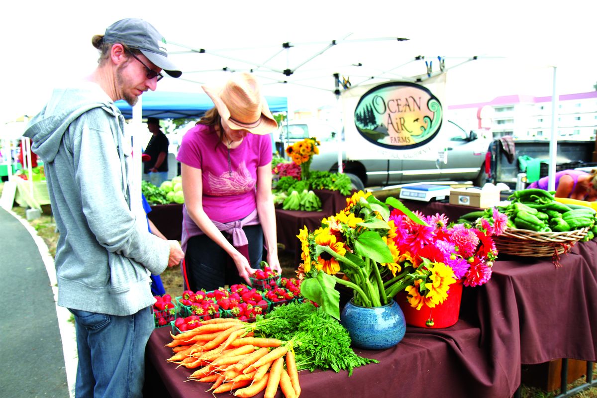 Farmers market to return to harbor this week