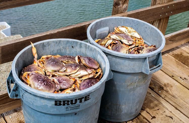 Coast Guard urges safety, preparedness for Dungeness crab season