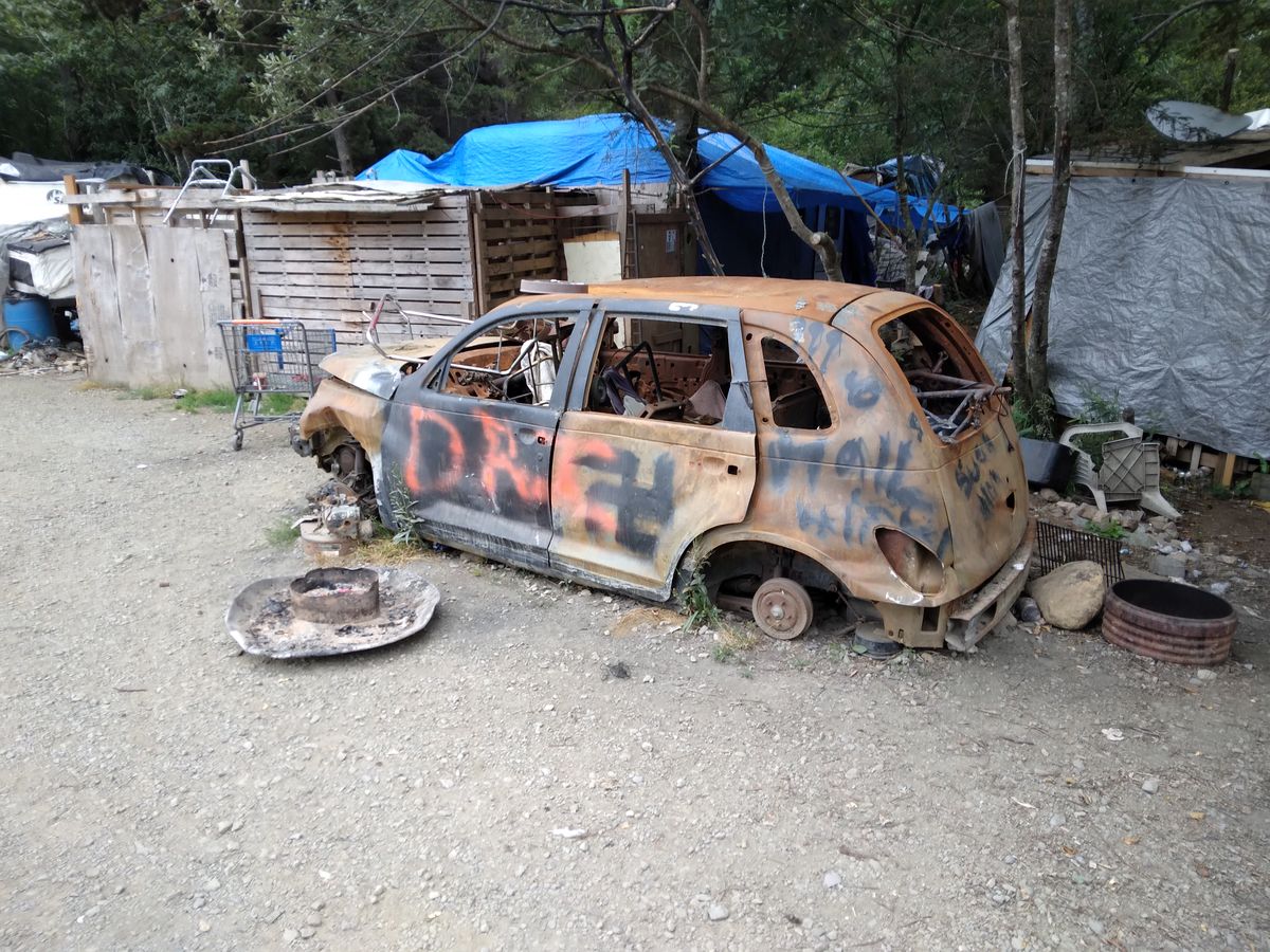 Photos: Behind the trees lurk a sea of hopelessness