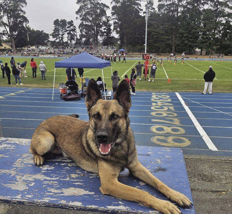 Crescent City looking to add third K9 officer