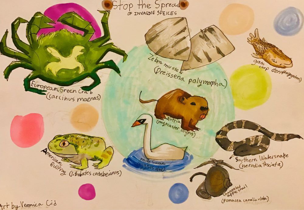 Youth Art Contest rallies Californians to unite to fight invasive species