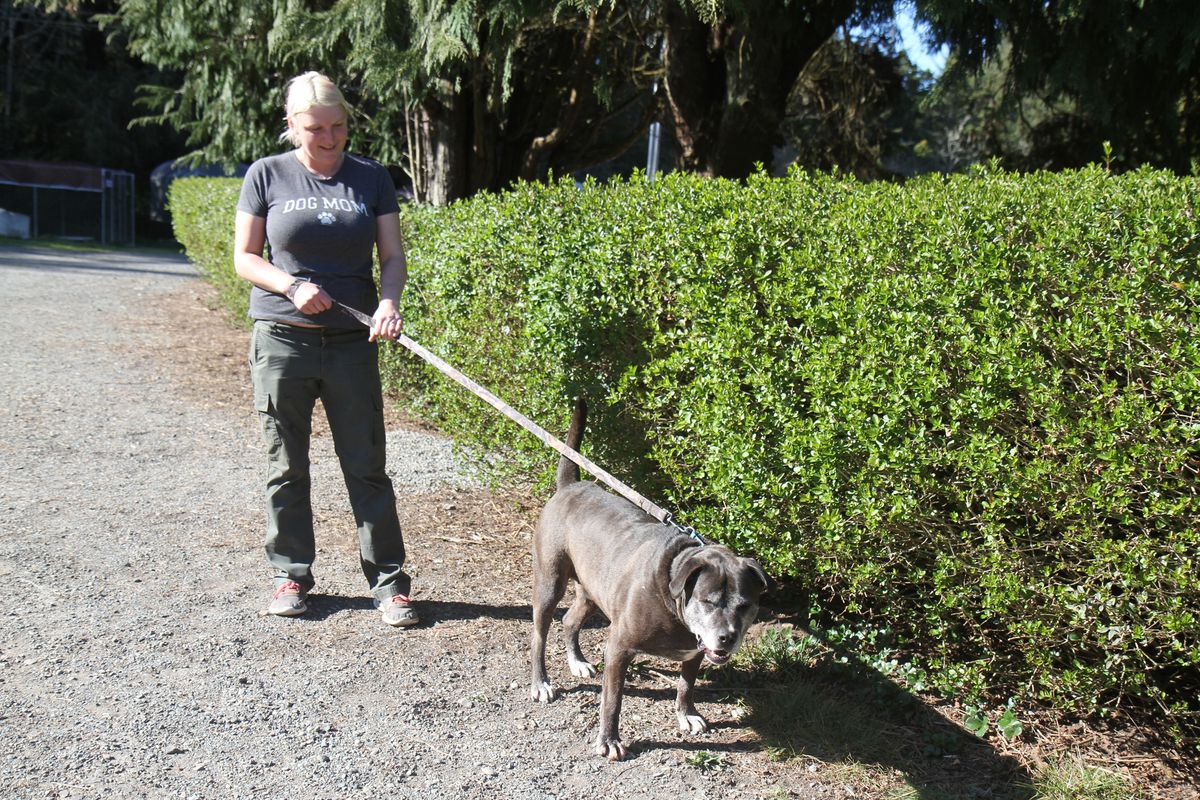 Animal shelter remains open for adoption despite COVID-10 concerns