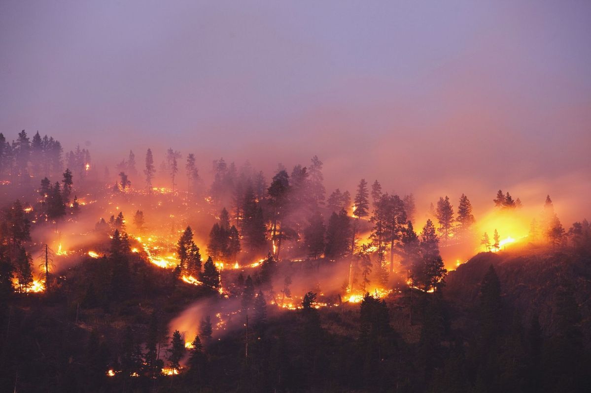 Northwest Oregon forests moving to extreme fire danger, additional public use restrictions in place