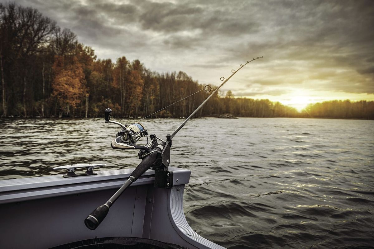 Warm-water habitat ‘pays the bills,’ allowing cold-water fish to fuel up