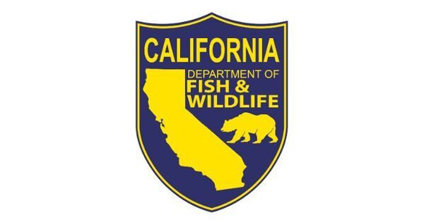 CDFW to talk about hunting and fishing resources at 2024 sport shows