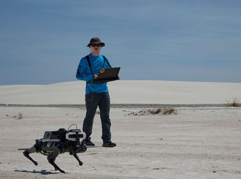 Researchers are teaching robots to walk on Mars from the sand of New Mexico, following experiments in Oregon