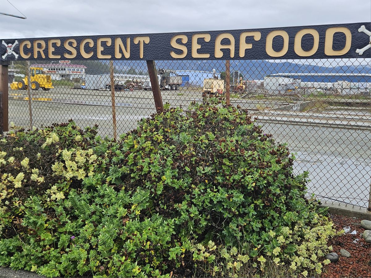 The Harbor may lose another tenant