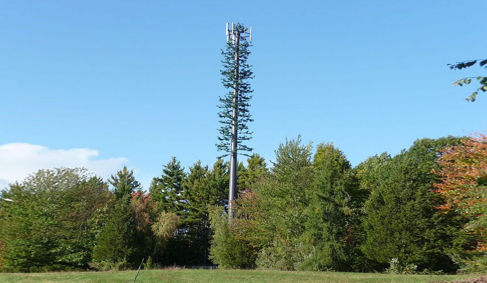 Plans to erect cell tower draw protest from Lake Earl residents