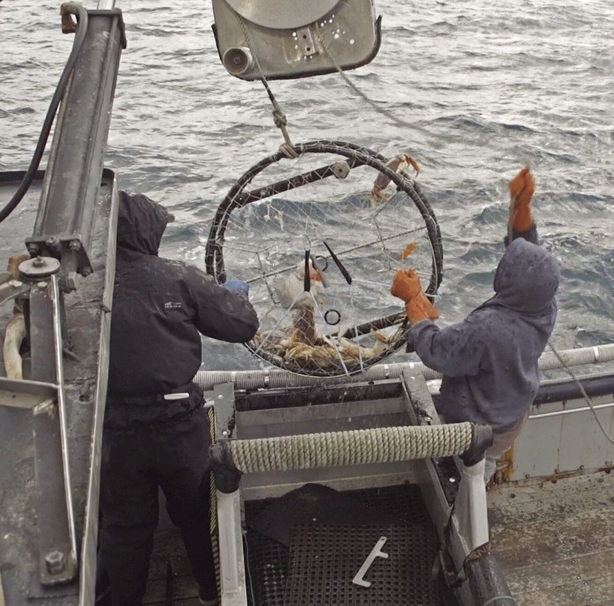 Advisory issued for commercial crab fleet