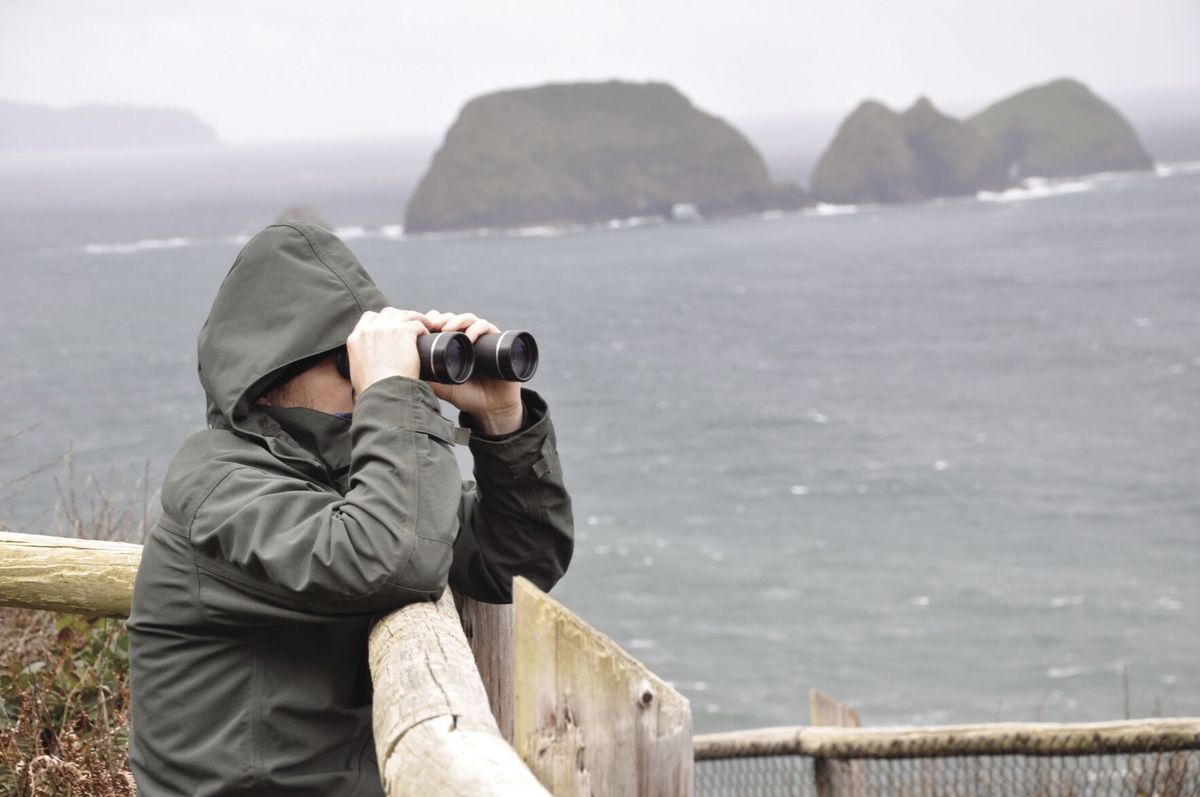 Coast Guard kicks off Operation Be Whale Wise