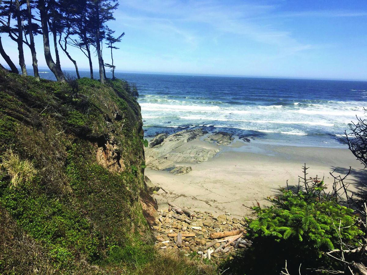 Rising seas could change coastal regions