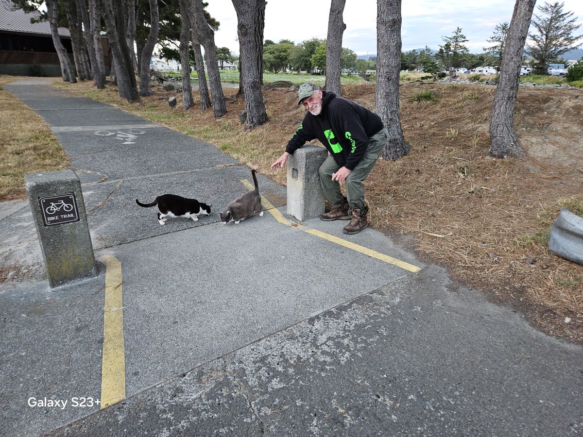 Feeding Feral Feline Friends: Citizen Provides Care to Stray Cats