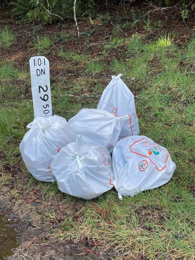 Del Norte Republicans Participate in the Clean California Community Day