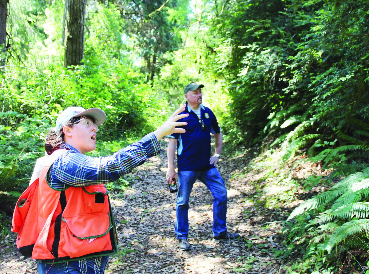Sudden oak death a growing concern