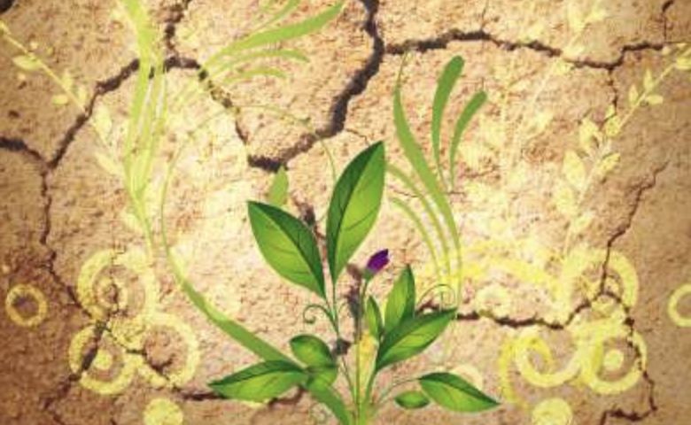 Forced water-use cuts made California more waterwise