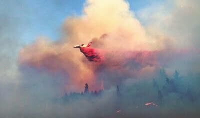 Partner survey shows steep cost for Wildland Firefighters’ loved ones