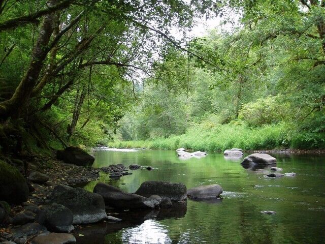New report highlights most ecologically important rivers to protect in Oregon