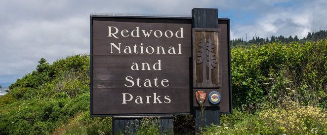 Road work to cause delays on Davison Road in Redwood Parks