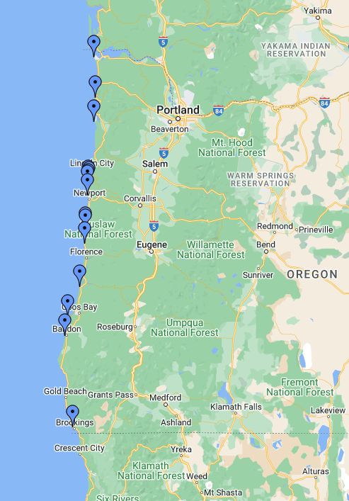 Photos / Sight to See: Winter Whale Watching Week returns