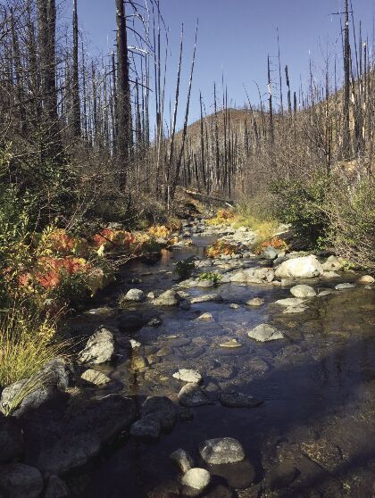 Column: Keeping the promise of wilderness