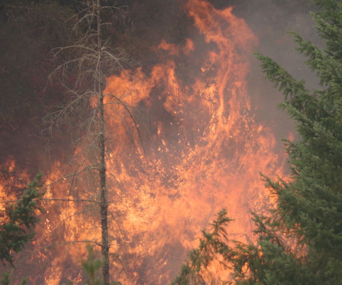 Large wildfire risk is high through September