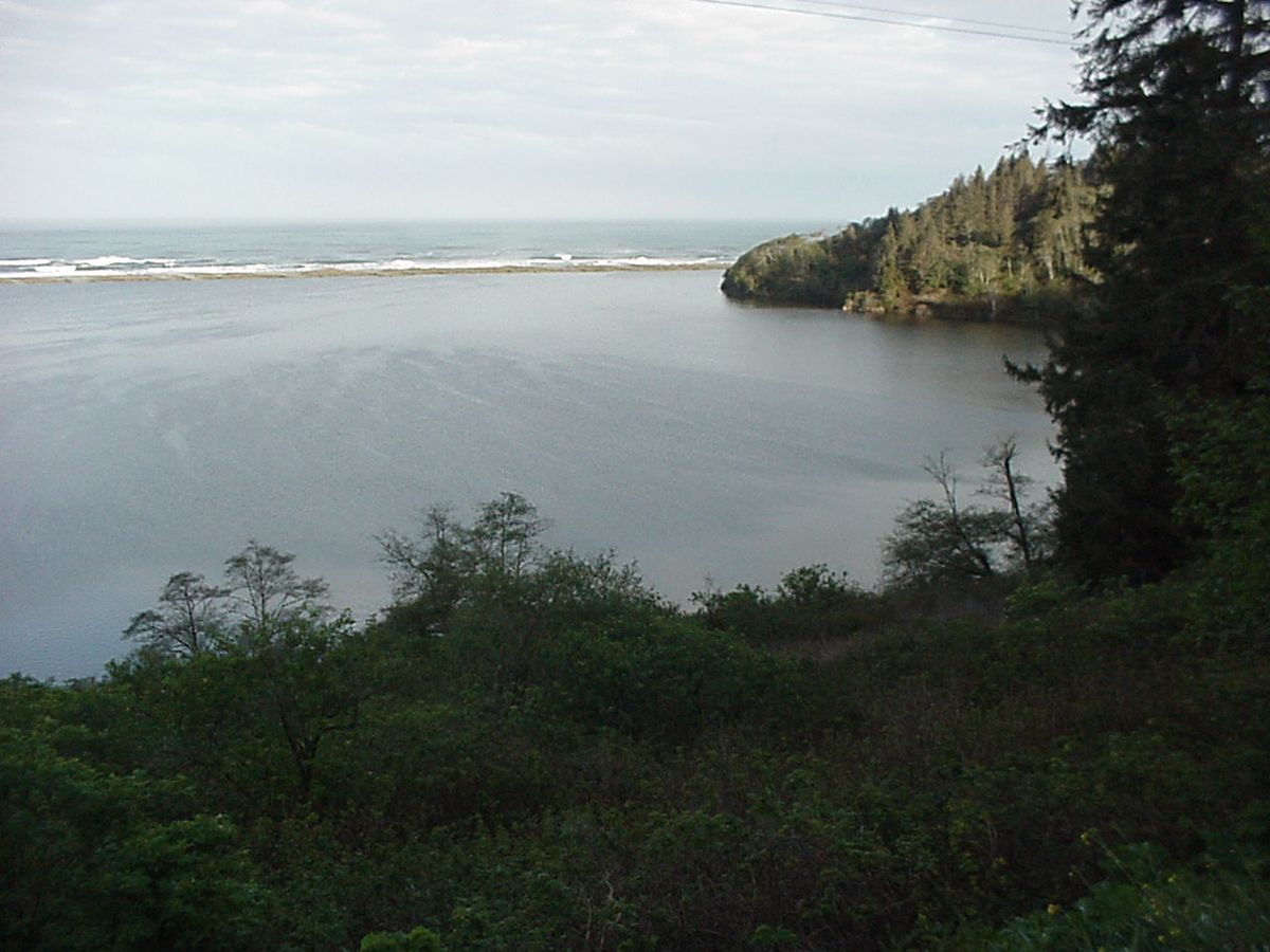 Volunteers sought for Humboldt Lagoons Azalea Restoration