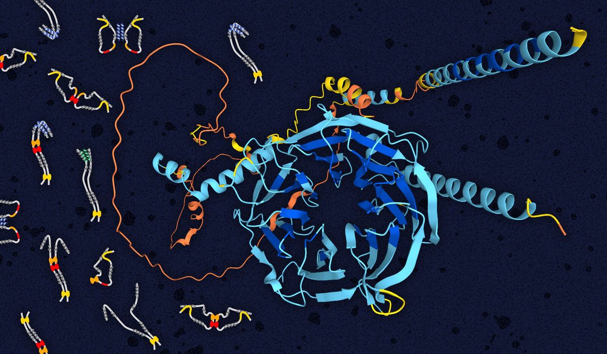 New analysis of cellular ‘vehicles’ drives a deeper understanding of ALS, Alzheimer’s