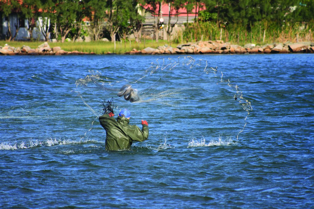 Fishing in synchrony brings mutual benefits for dolphins and people, research shows