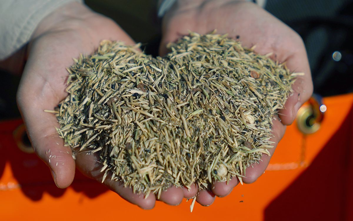 Yurok Tribe Employs Innovative Approach to Ecosystem Restoration