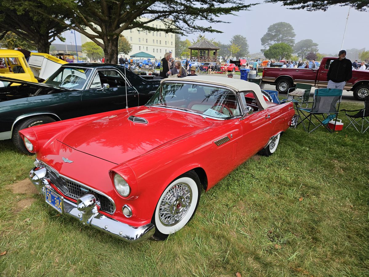 Photos: Sea Cruise Weekend is a big success
