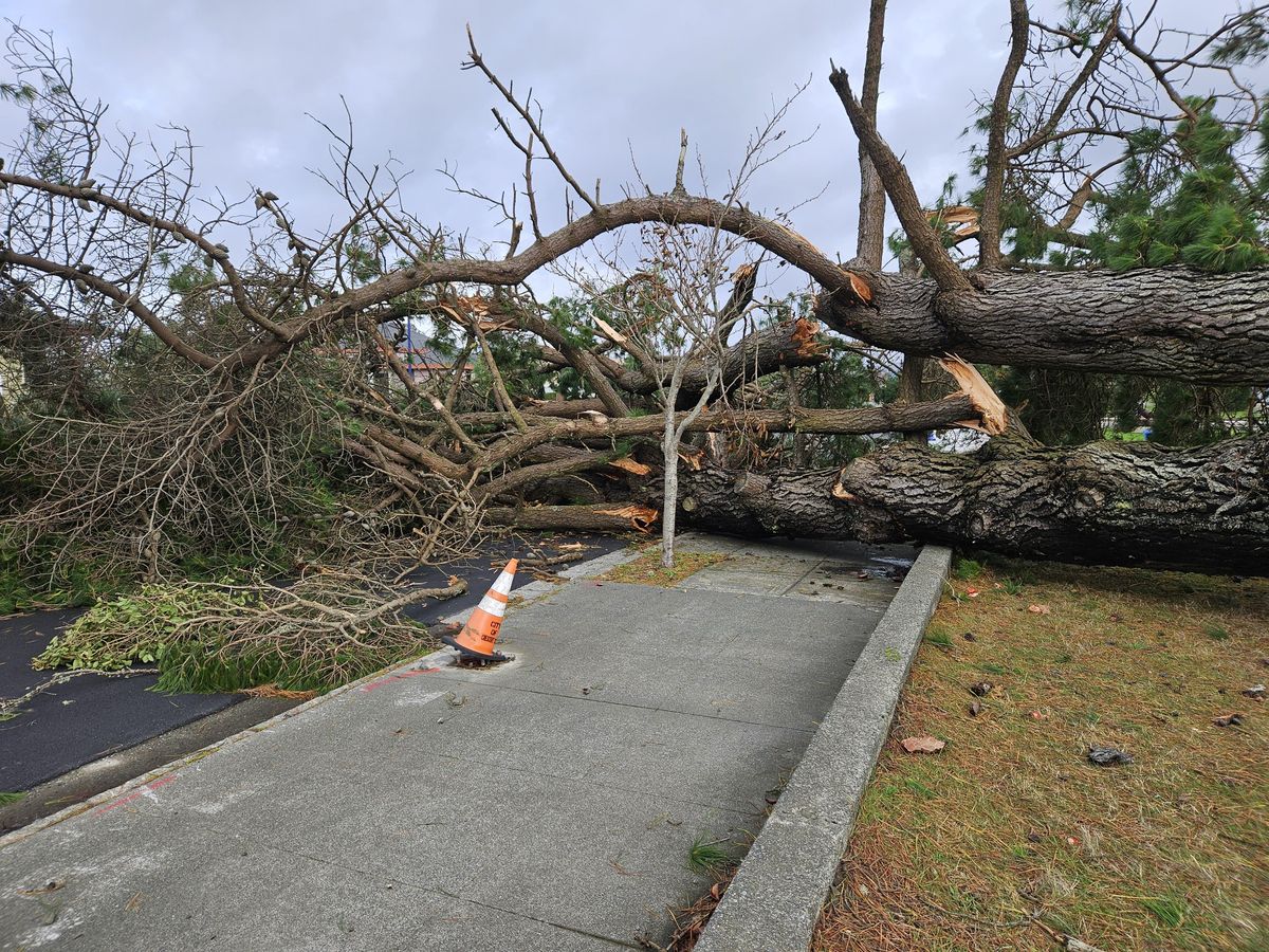 Photos: Mother Nature Speaks